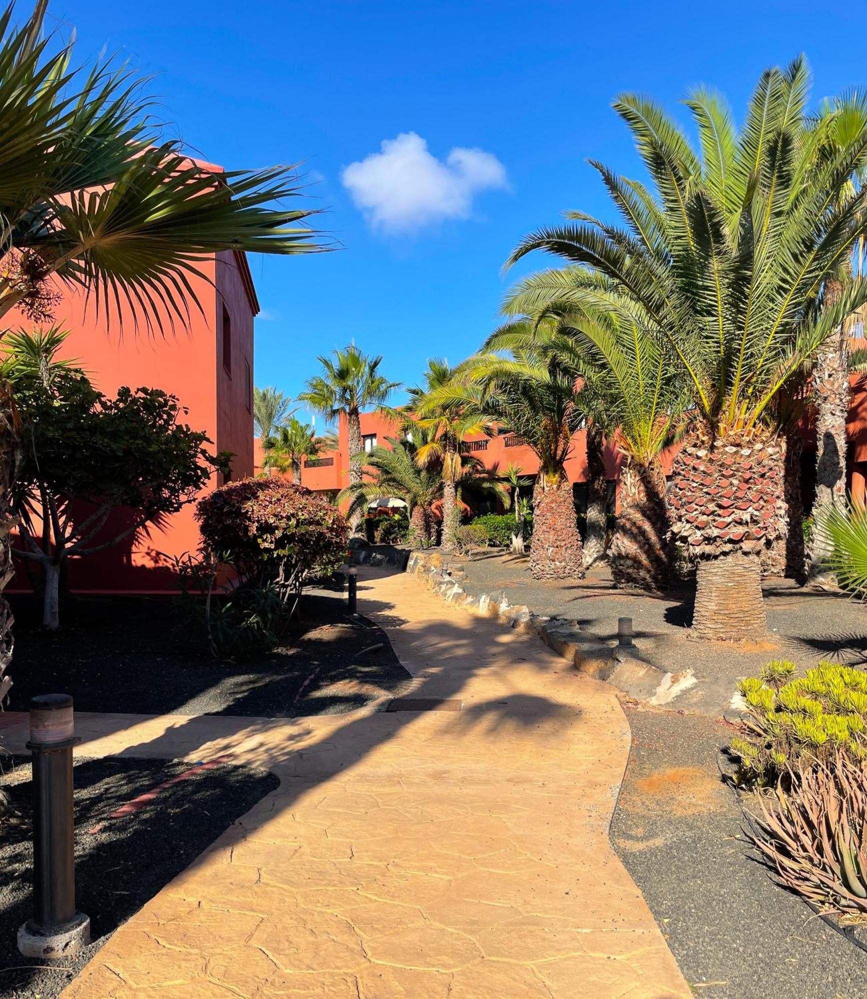 Oasis Tamarindo By Best Holidays Fuerteventura Corralejo Esterno foto